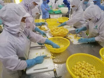 Huấn luyện trong nấu, chế biến suất ăn công nghiệp Huấn luyện trong nấu, chế biến suất ăn công nghiệp