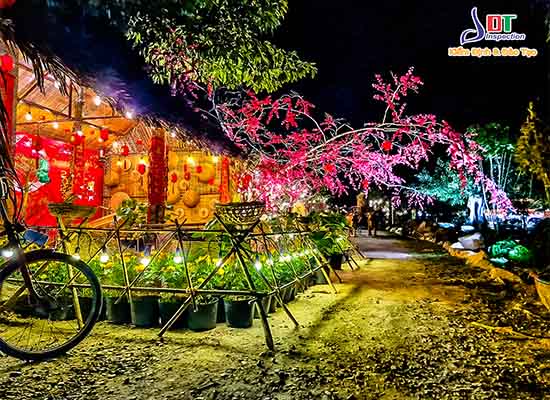 trang trí ngày lễ 2023 vũng tàu