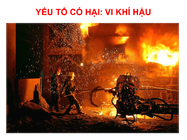 Vi khi hậu và tác hại Vi khi hậu và tác hại